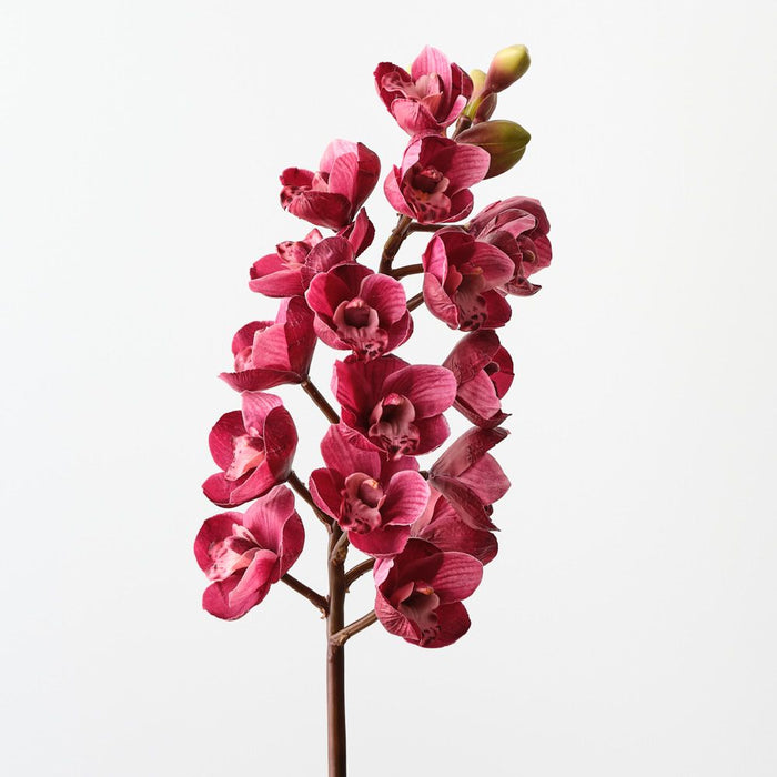 Artificial Orchid Cymbidium 83cm Fuschia - Pack of 12 - FLORA DESIGNS
