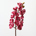 Artificial Orchid Cymbidium 83cm Fuschia - Pack of 12 - FLORA DESIGNS