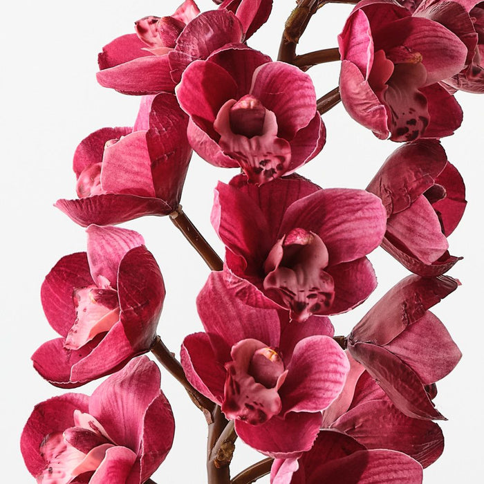 Artificial Orchid Cymbidium 83cm Fuschia - Pack of 12 - FLORA DESIGNS