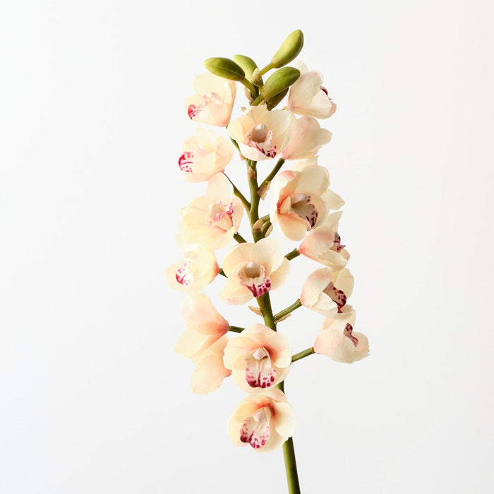 Artificial Orchid Cymbidium 83cm Linen - Pack of 12 - FLORA DESIGNS