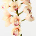 Artificial Orchid Cymbidium 83cm Linen - Pack of 12 - FLORA DESIGNS