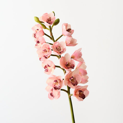 Artificial Orchid Cymbidium 83cm Light Pink - Pack of 12 - FLORA DESIGNS
