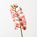Artificial Orchid Cymbidium 83cm Light Pink - Pack of 12 - FLORA DESIGNS