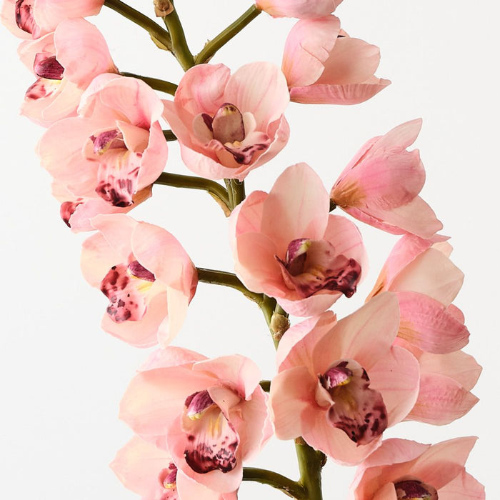 Artificial Orchid Cymbidium 83cm Light Pink - Pack of 12 - FLORA DESIGNS