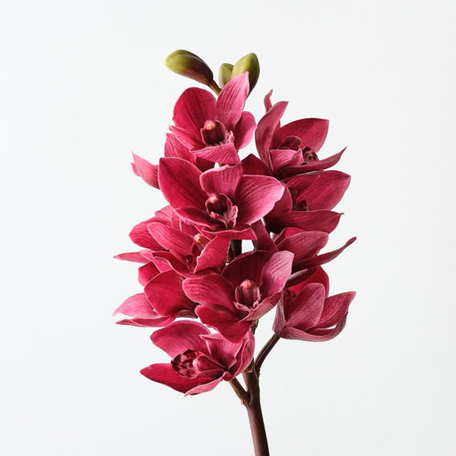 Artificial Orchid Cymbidium 58cm Fuschia - Pack of 6 - FLORA DESIGNS
