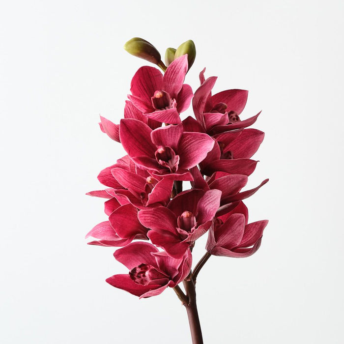 Artificial Orchid Cymbidium 58cm Fuschia - Pack of 6 - FLORA DESIGNS