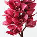 Artificial Orchid Cymbidium 58cm Fuschia - Pack of 6 - FLORA DESIGNS