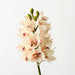 Artificial Cymbidium Orchid 58cm Linen - Pack of 6 - FLORA DESIGNS