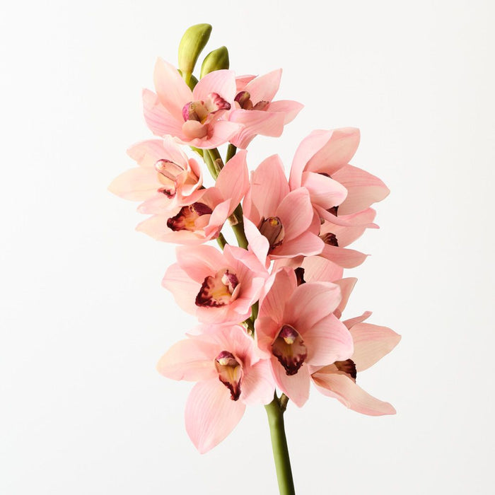Artificial Orchid Cymbidium 58cm Light Pink - FLORA DESIGNS