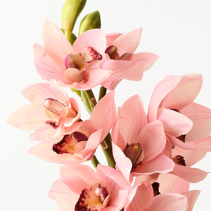 Artificial Orchid Cymbidium 58cm Light Pink - FLORA DESIGNS