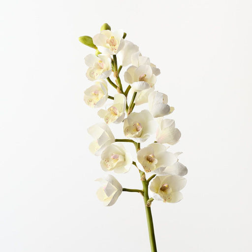 Artificial Orchid Cymbidium 83cm White - Pack of 6 - FLORA DESIGNS