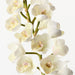 Artificial Orchid Cymbidium 83cm White - Pack of 6 - FLORA DESIGNS