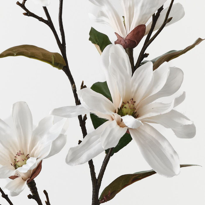 Magnolia Tree Spray White 76cm Pack of 12