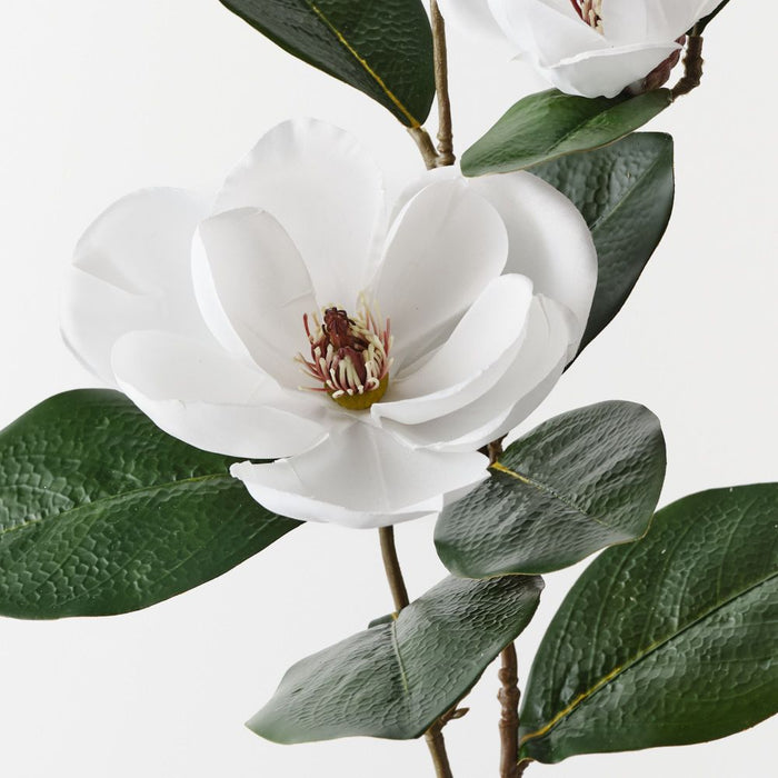 Magnolia Spray White 82cm Pack of 12