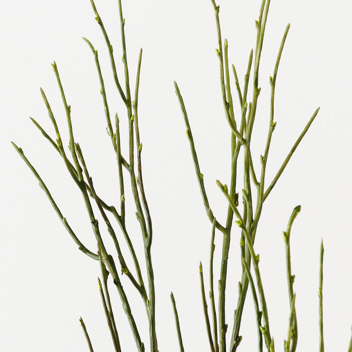 Twig Coral Spray Green 76cm Pack of 12
