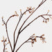 Tallow Spray Natural 117cm Pack of 12