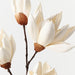 Magnolia Japanese Spray Ivory 66cm Pack of 12