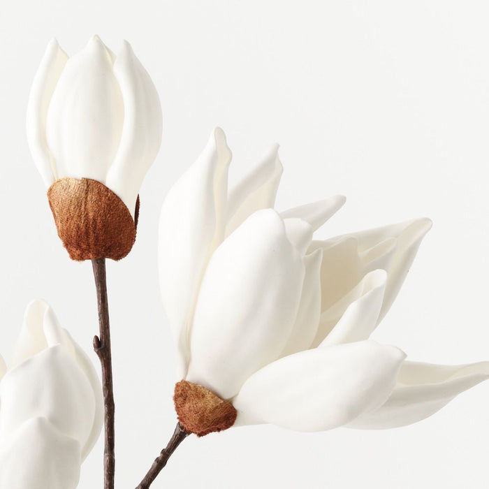 Magnolia Japanese Spray White 66cm Pack of 12