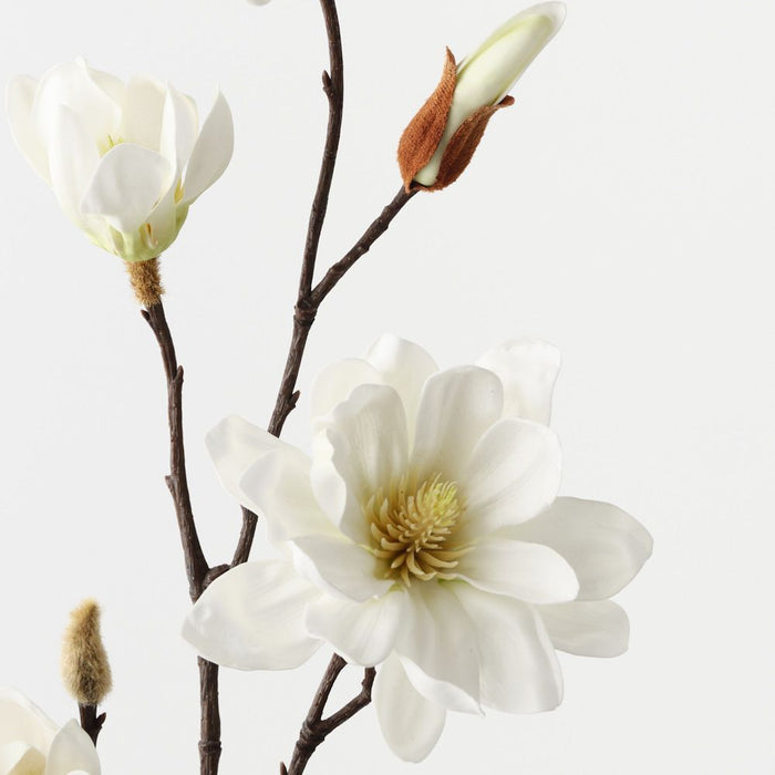 Magnolia Tree Spray White 79cm Pack of 12