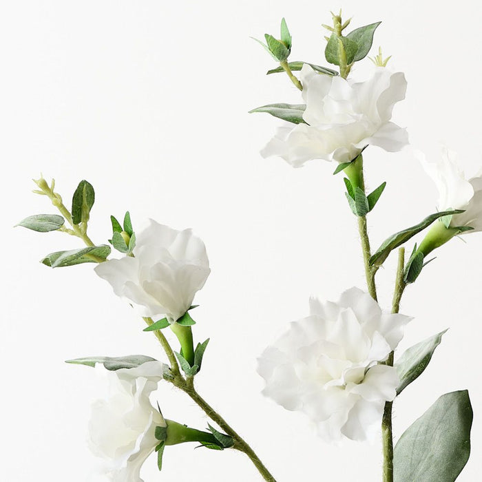 Lisianthus Spray White 76cm Pack of 12