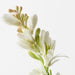 Tuberose Cream 43cm Pack of 12