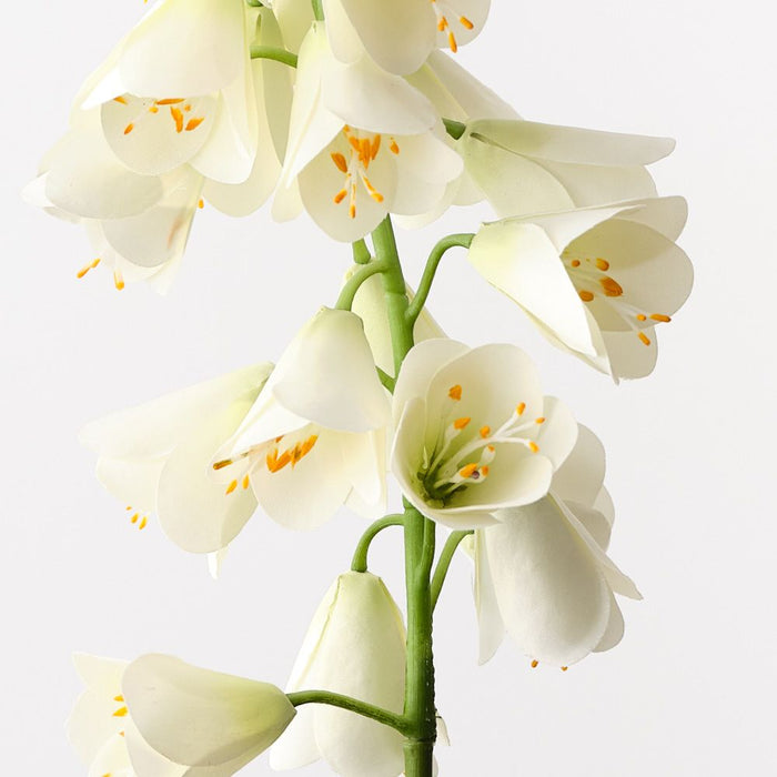 Fritillaria White 78cm Pack of 6