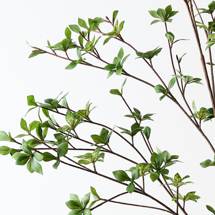 Enkianthus Leaf Spray Green 97cm Pack of 2