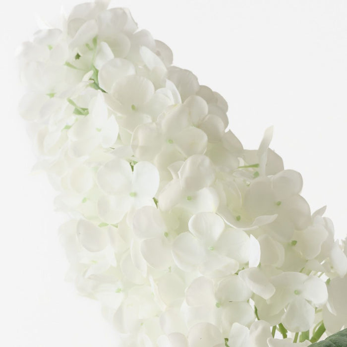 Hydrangea Cone White 91cm Pack of 6