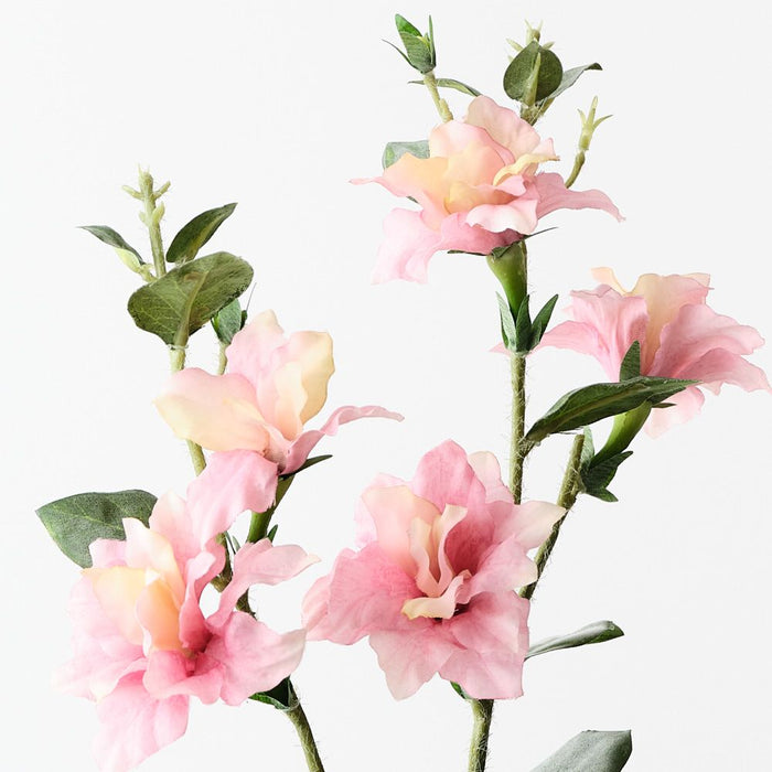 Lisianthus Spray Pink 76cm Pack of 12