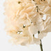 Hydrangea w/o Leaf 46cm Cream - Pack of 12
