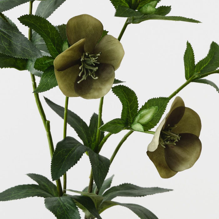 Hellebore Spray Green 74cm Pack of 12