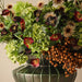 Hellebore Spray Wine 74cm Pack of 12