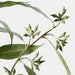Eucalyptus Seed Spray Grey Green 75cm Pack of 12