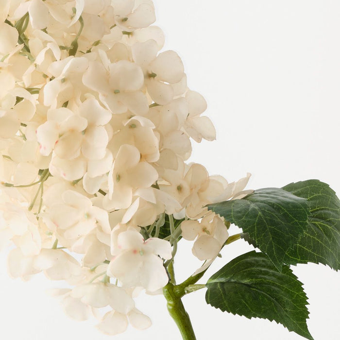 Hydrangea Cone Cream 91cm Pack of 6
