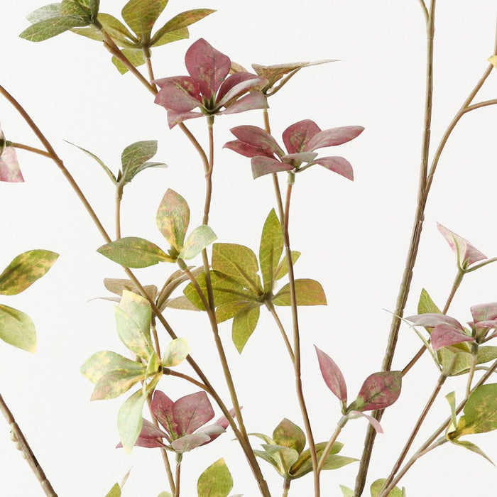 Enkianthus Leaf Spray Green Pink 115cm Pack of 12