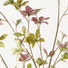 Enkianthus Leaf Spray Green Pink 115cm Pack of 12
