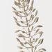 Lily Foxtail 105cm Sand Wash - Pack of 12