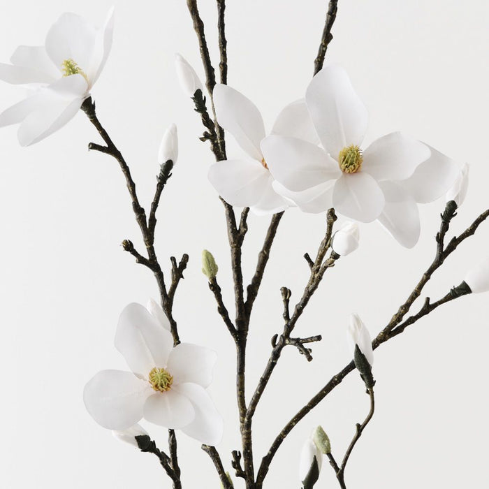 Magnolia Japanese Spray White 155cm Pack of 4