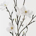 Magnolia Japanese Spray White 155cm Pack of 4