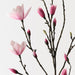 Magnolia Japanese Spray Pink 188cm Pack of 4
