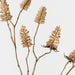 Thistle Spray 96cm Natural - Pack of 12
