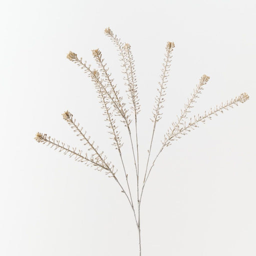 Peppergrass Spray 81cm Sand Wash - Pack of 12