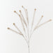 Peppergrass Spray 81cm Sand Wash - Pack of 12