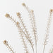 Peppergrass Spray 81cm Sand Wash - Pack of 12