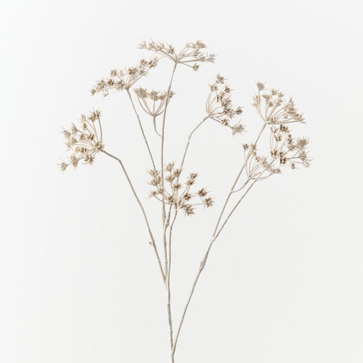 Wild Chervil Spray 76cm Sand Wash - Pack of 12