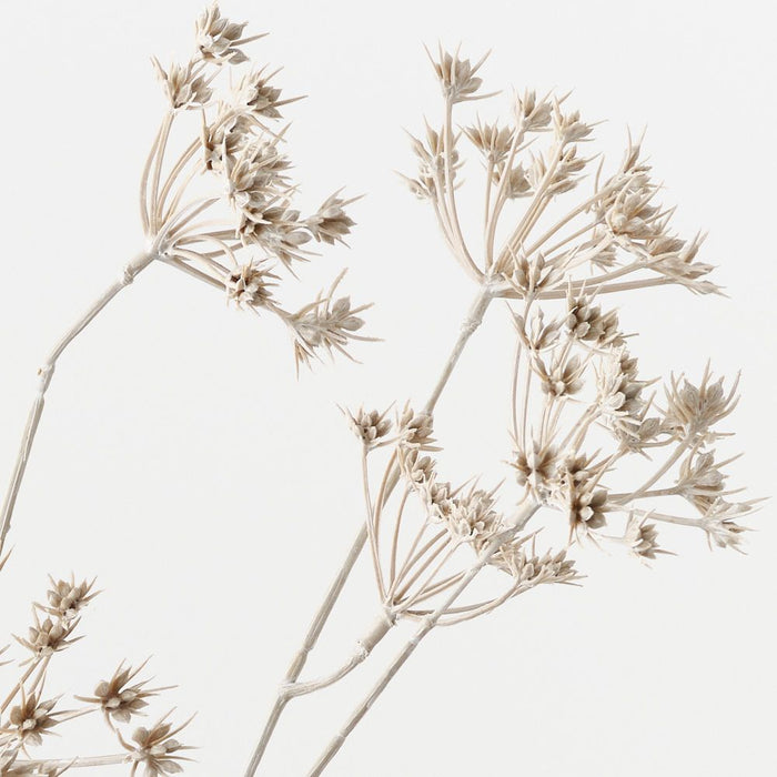 Wild Chervil Spray 76cm Sand Wash - Pack of 12