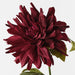 Dahlia Black Plum 60cm Pack of 12