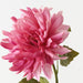 Dahlia Fuschia 60cm Pack of 12