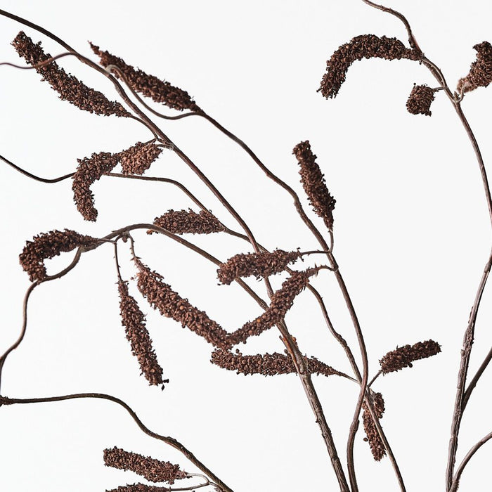 Artificial Amaranthus Spray 122cm Chocolate Brown - Pack of 12 - FLORA DESIGNS