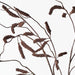 Artificial Amaranthus Spray 122cm Chocolate Brown - Pack of 12 - FLORA DESIGNS